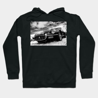 Classic British Sports Motor Car Hoodie